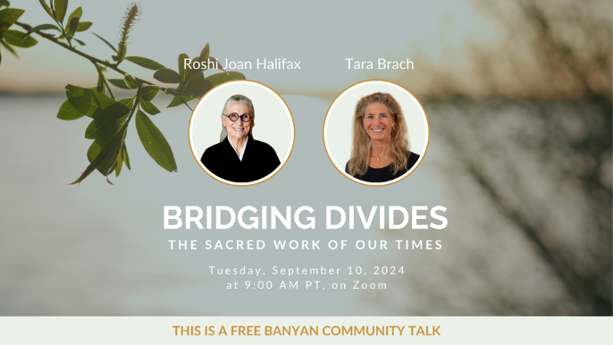 Bridging Divides: The Sacred Work of Our Times