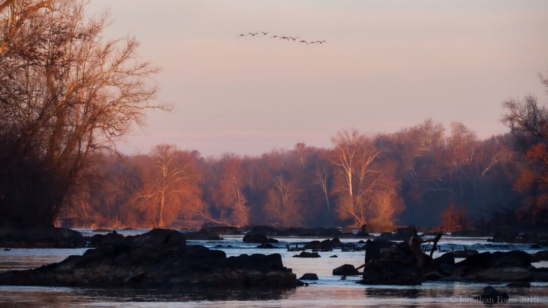 Meditation: Resting in Knowing (20:43 min.)