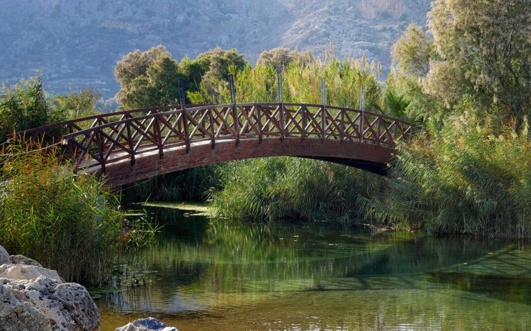 The Sacred Work of Bridging Divides – Teachings from Roshi Joan Halifax and Tara Brach