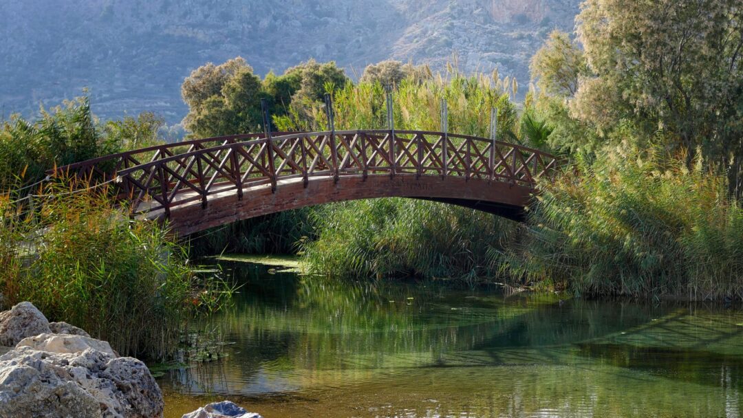 The Sacred Work of Bridging Divides - Teachings from Roshi Joan Halifax and Tara Brach