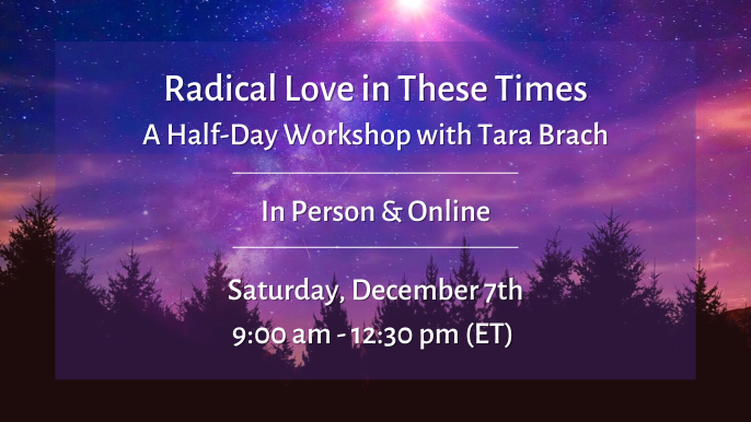 Radical Love in These Times - Half-Day Retreat