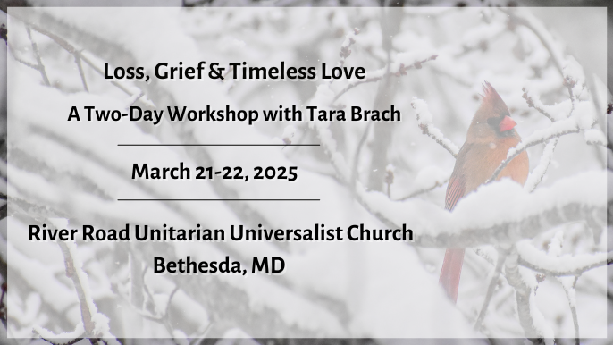 Loss, Grief & Timeless Love Workshop